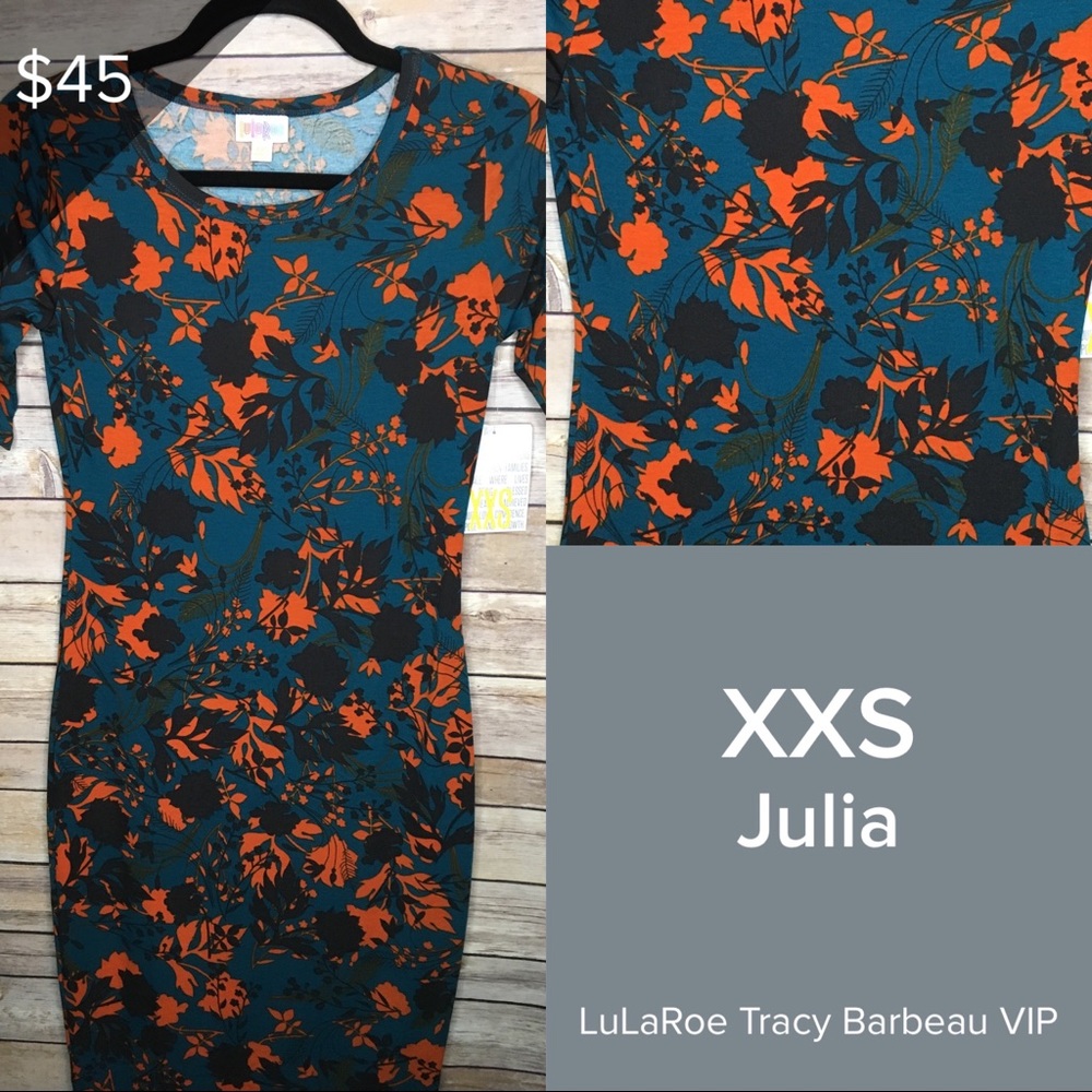 NWT LuLaRoe XXS Julia Dress